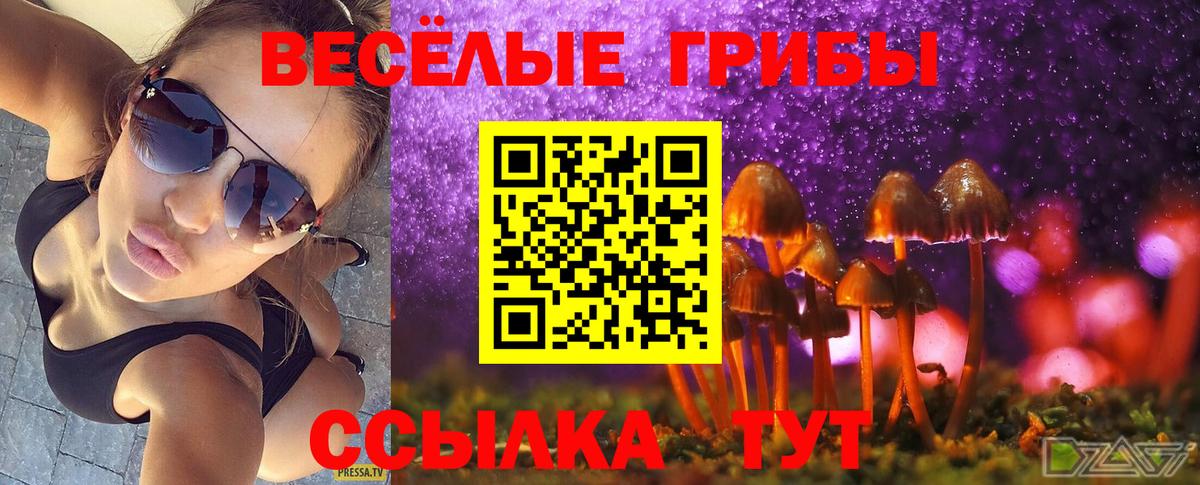 Галлюциногенные грибы прущие грибы  Псилоцибиновые грибы Magic Shrooms  Вход с VPN  Саянск 