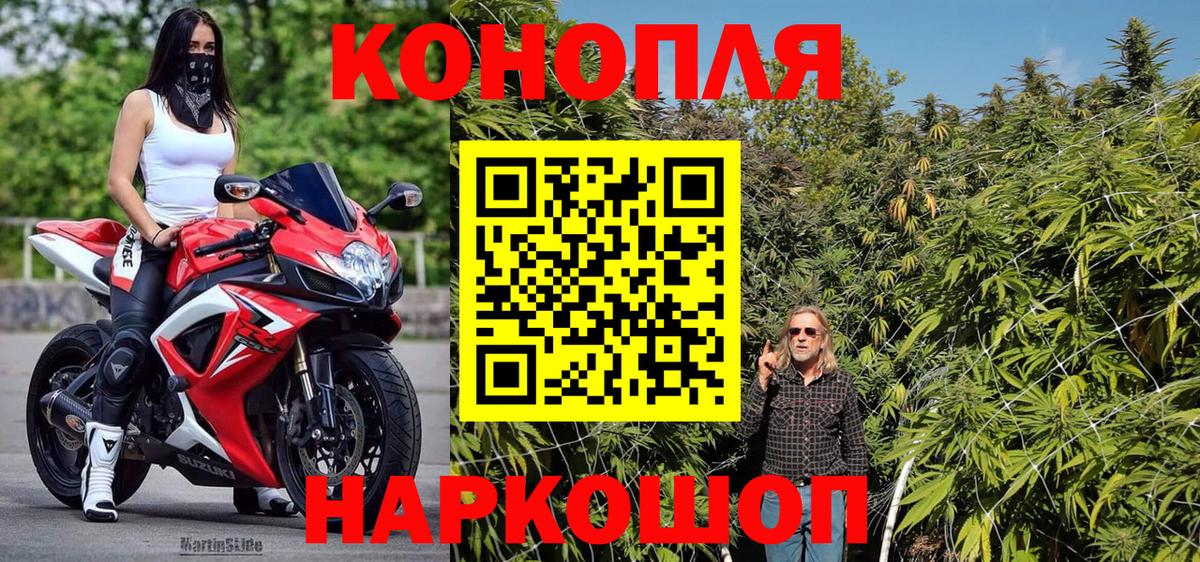МАРИХУАНА семена Саянск